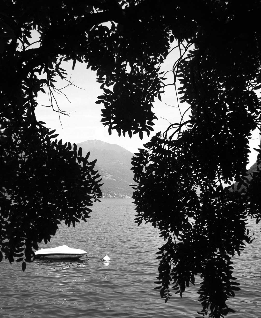 View of Lake Como through the weeping willow in the private Telos Boats garden
